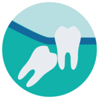 Cirugía oral <br> y maxilofacial Cirugía oral <br> y maxilofacial
