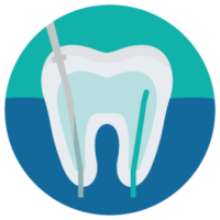 Endodoncia Endodoncia
